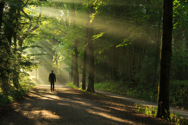 chemin